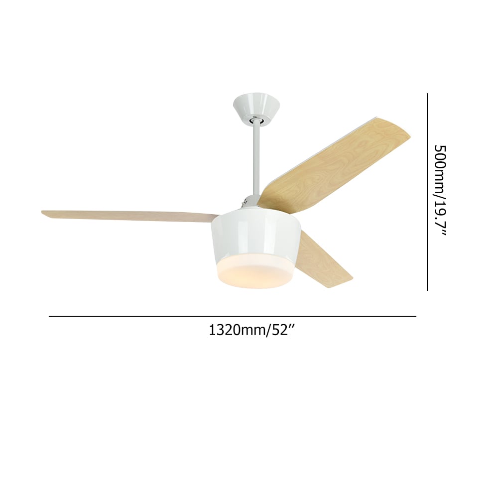 Ceiling Fan Modern Simple Fashion With Remote Control window image
