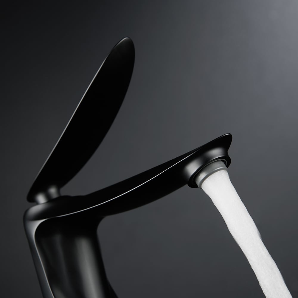 Black Brass Single Handle 1-Hole Sink Faucet window image