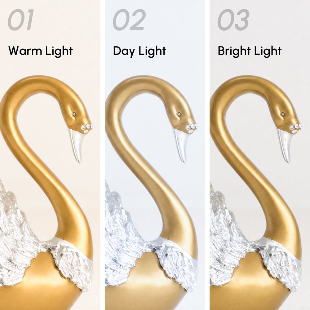 2-Piece Resin Swan Figurines – Elegant Gold Swan Decorative Storage Set window image