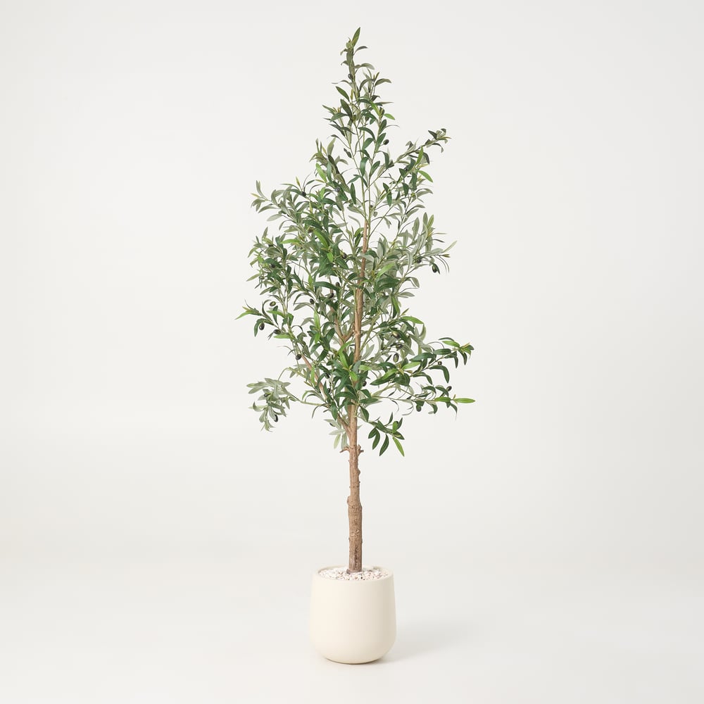 6 ft. Artificial Olive Tree with Planter and Decorative Pebbles window image