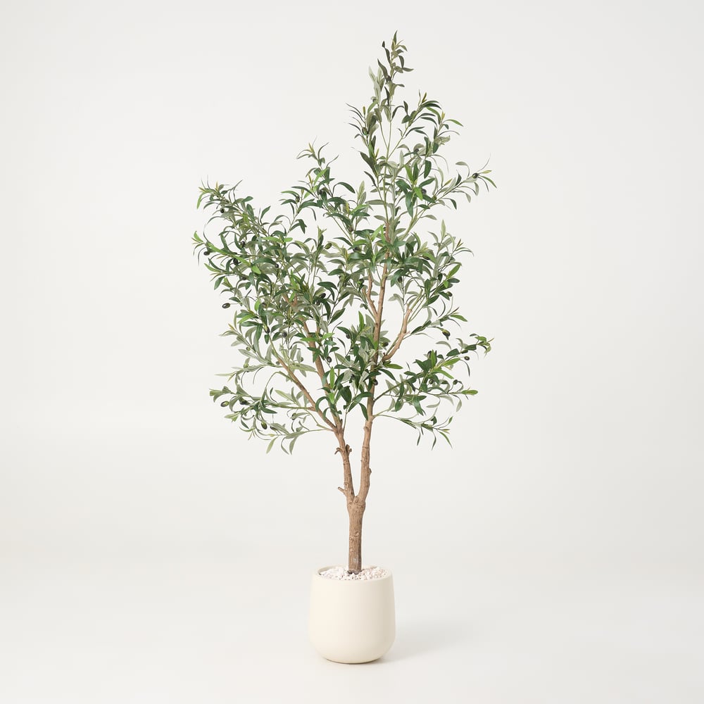 6 ft. Artificial Olive Tree with Planter and Decorative Pebbles window image