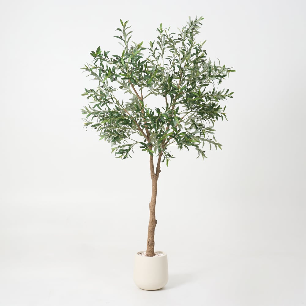 7ft Artificial Olive Tree with Planter and Decorative Pebbles window image