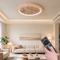 French Elegant Natural Resin 3D Carved LED 3 Modes Dimmable Flush Ceiling light