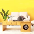 Natural Rectangular Coffee Table with Drawer & Cat Condos