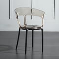 Modern Acrylic Dining Chairs Amber