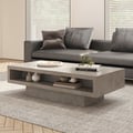 Japandi Rectangle Concrete Gray Coffee Table with 2 Drawers & Open Storage