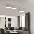 2-Light Rectangle Modern Flush Mount LED Ceiling Light with Acrylic in White