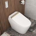 Hynova AX6 Set of 2 Elongated Smart Toilet Floor Mounted Automatic Toilet Self-Clean