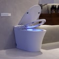 Smart Toilet Modern White Rimless Back To Wall with Dual Flush (3 Star)