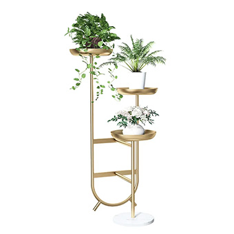 Flowers & Plants