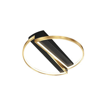 Flush Ceiling Lights