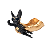 Wall Shelving & Organization