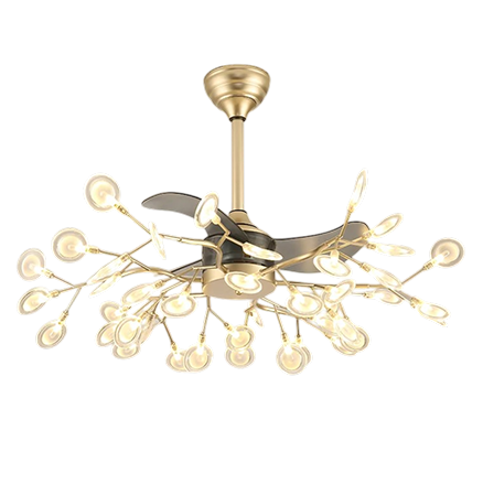 Ceiling Fans