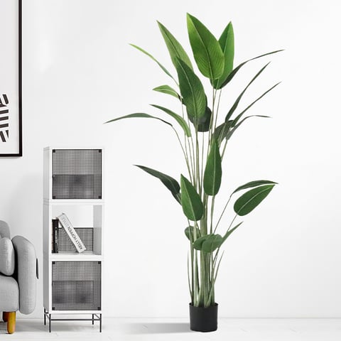 Faux Decor And Indoor Plants | Homary