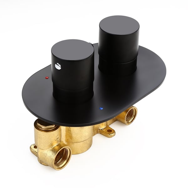 Modern Round DualFunction Thermostatic 2 Outlets Shower Mixer Valve