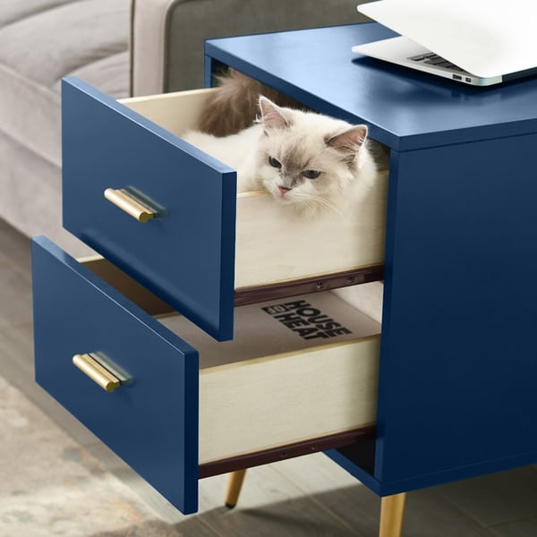 Blue End Table with Storage Living Room Side Table 2 Drawer & Open