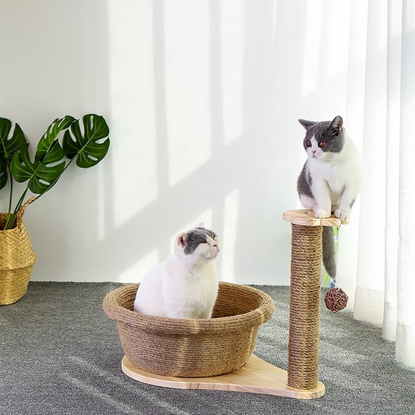 Grateful Gnome – Dessus En Métal Avec Perchoir Rond Et 5