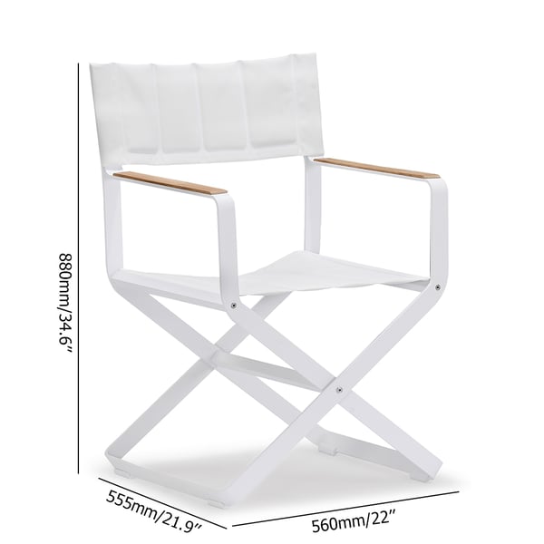 Foldable Outdoor Chair with Teak Wood and Aluminum FrameHomary