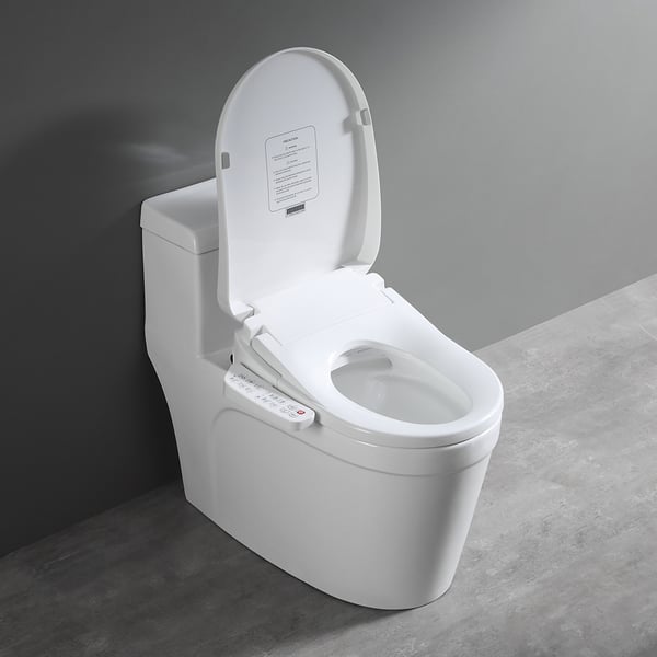 Electric Vs NonElectric Bidets Pros Cons, 58 OFF