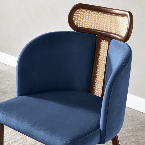 Free Shipping on Modern Blue Velvet Dining Chair Curved Back Rattan ...
