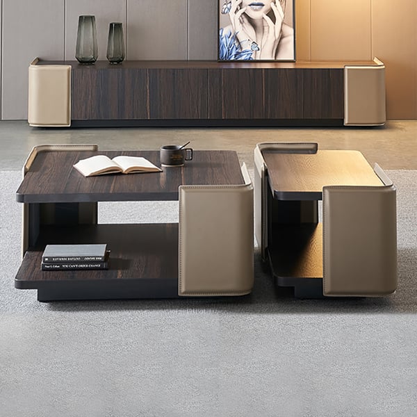 2Piece Modern Coffee Table Set with Storage Leather & Carbon Steel