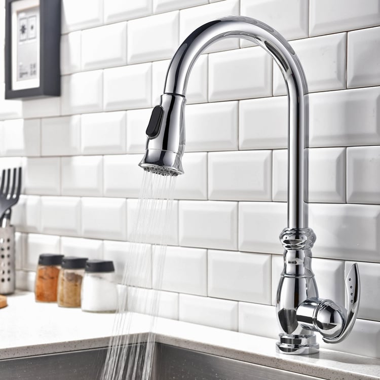 Traditional Swan Neck Monobloc Pull-out Spray Kitchen Tap with Single ...