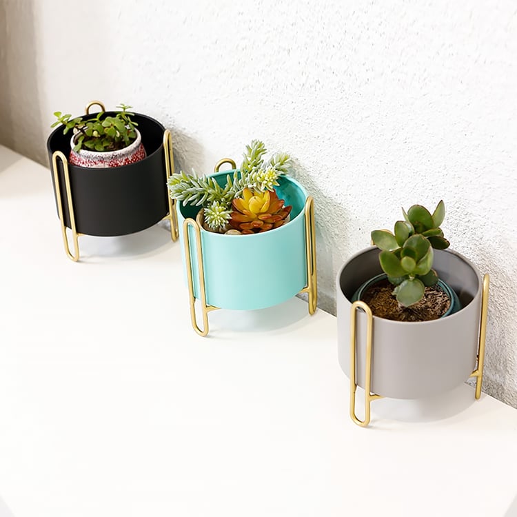 tiny plant pots The Thirsty Planter – Self-Watering Pot for Happy, Healthy Plants – Pikkii