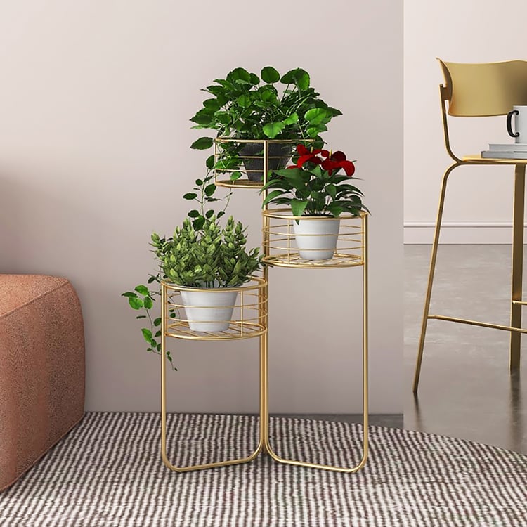 pot for monstera plant Monstera Plant + Pot
