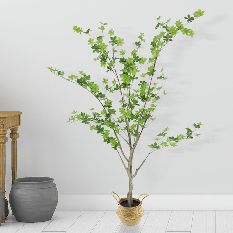1200mm Artificial Enkianthus Perulatus Tree 1 Piece Faux Plants｜Homary UK