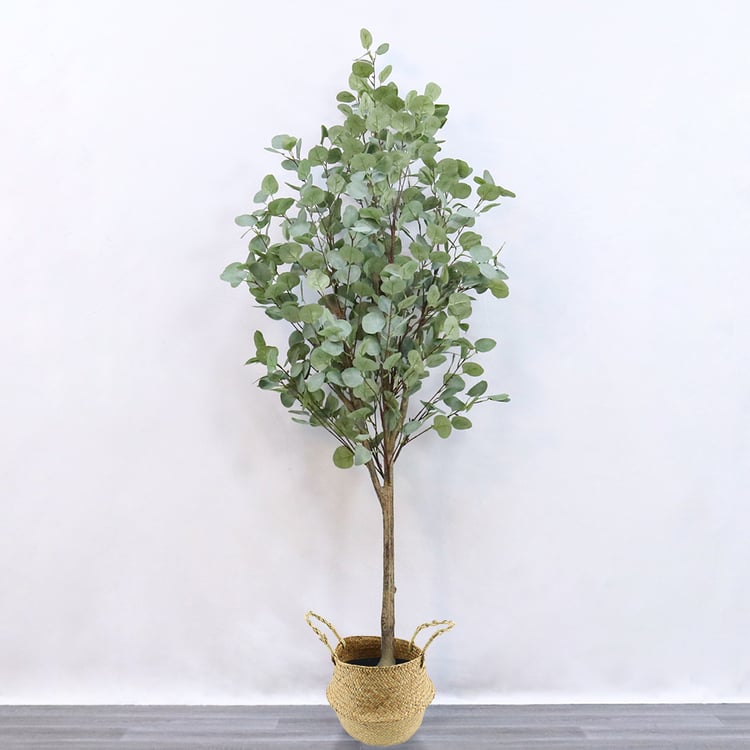 59.1" Artificial Eucalyptus Tree 1 Piece Indoor Plants｜Homary