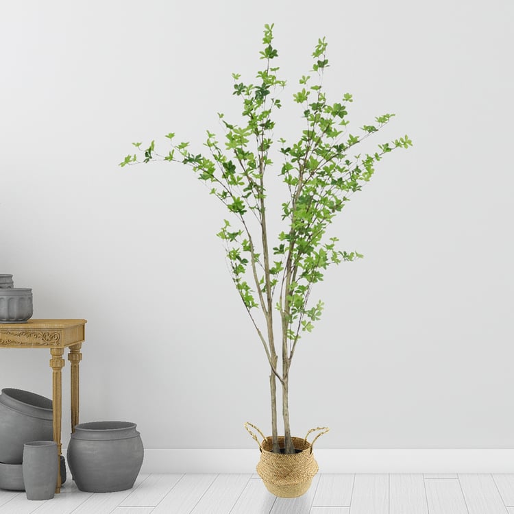 70.9" Artificial Enkianthus Tree 1 Piece Faux Indoor Plants｜Homary