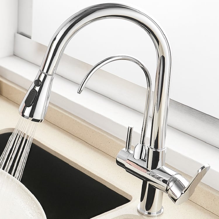 Water Filter Kitchen Faucet Pull Out Faucet in Polished