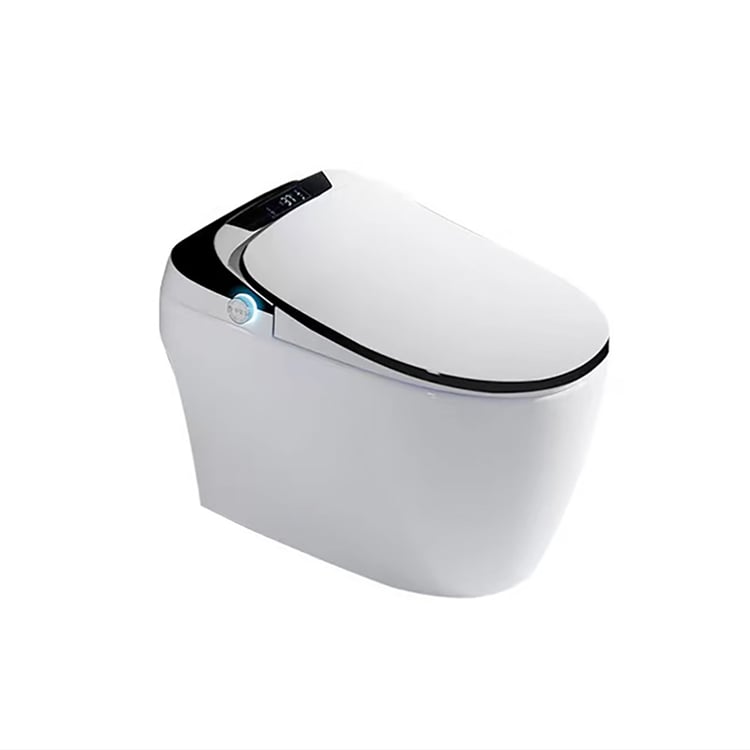 Automatic Toilet One-Piece Floor Mounted Self Clean Smart