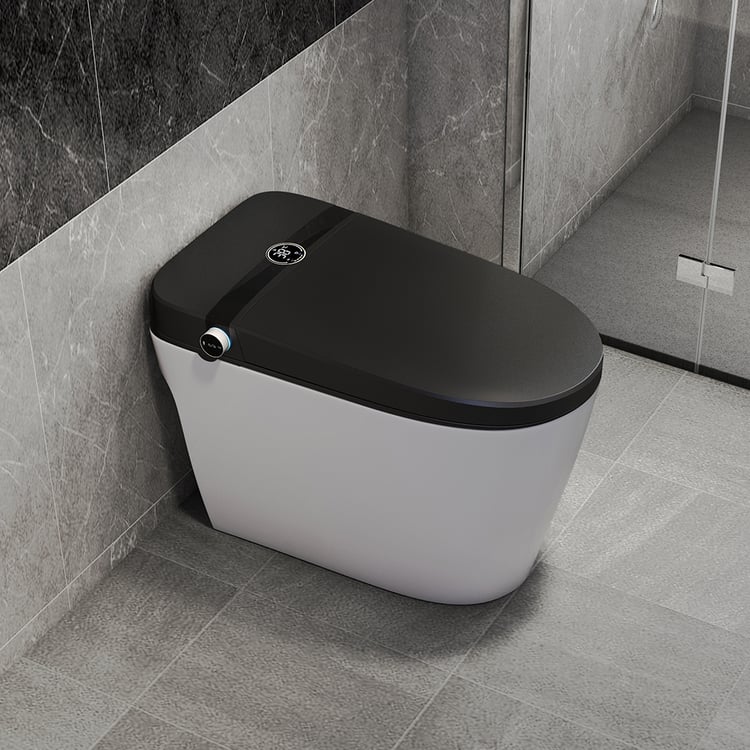 Elongated One-Piece Smart Toilet Floor Mounted Automatic Toilet in ...