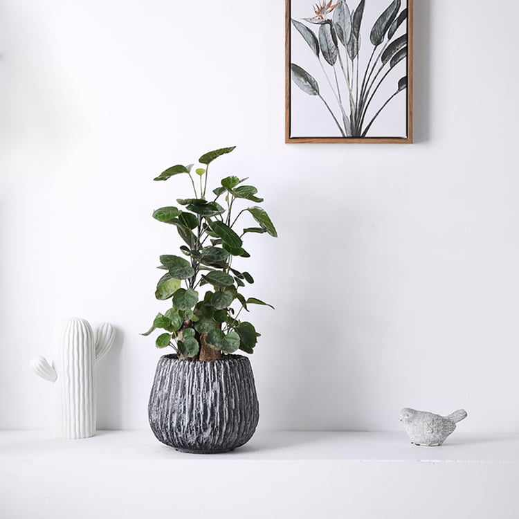 große laterne für draußen Dekoleidenschaft Kerzenlaterne aus Metall & Glas, 45cm hoch, Gartenlaterne Kerzenhalter, braun, Metalllaterne, Hängelaterne, Windlicht, Gartendeko status:GiftPromo