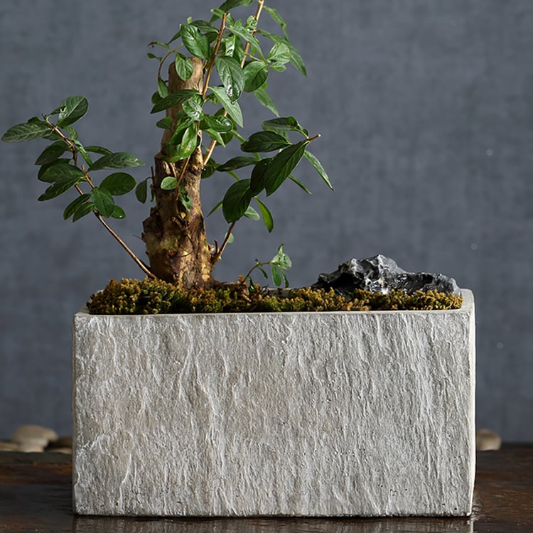 hanging planter rattan Almond Rattan Hanging Planter