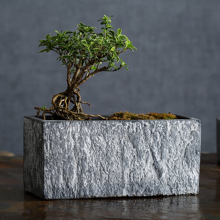 Rectangular Stone Pattern Planter Cement Flower Pot Black Planter BoxHomary