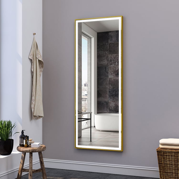 55" Long Brushed Gold Frame Mirror Rectangle LED Wall-Mounted Dressing  MirrorHomary