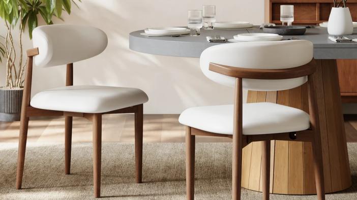 Modern Dining Chair