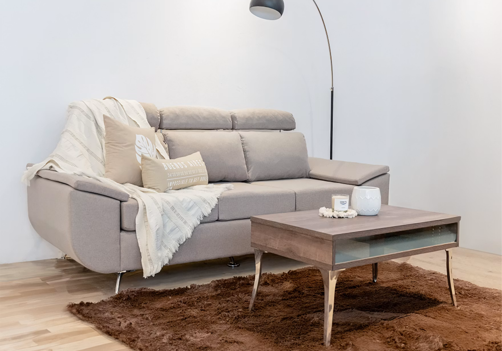 Modern living room with sofa, coffee table, and rug.