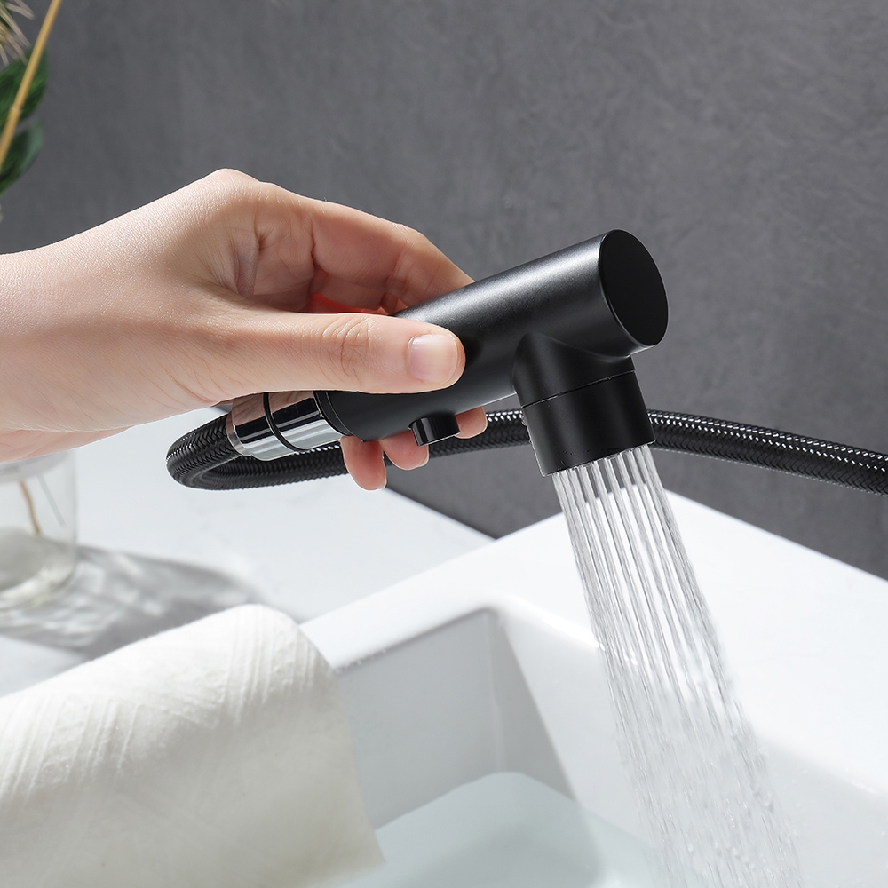 Ruth Industrial Pipe 1-Hole Pull Out Bathroom Sink Faucet Matte Black 1-Handles Brass