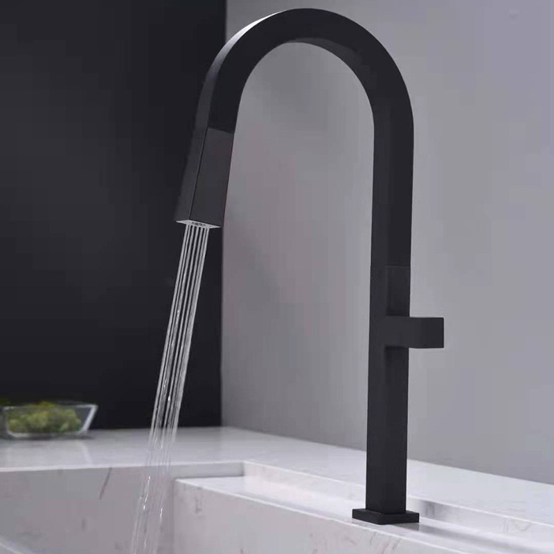 Single Hole Pullout Gooseneck Kitchen Faucet Dual Functions in Black in US