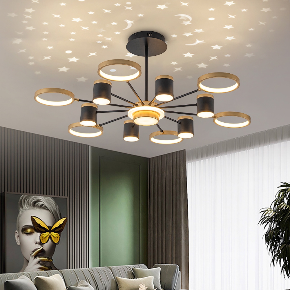 Nordic 12-Light Black & Gold Chandelier LED Ring Starry Reflection Light Dimmable-image-online-en-us-45755